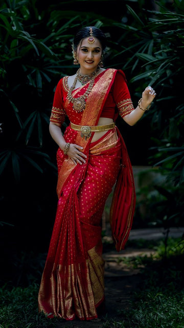 Wedding Saree